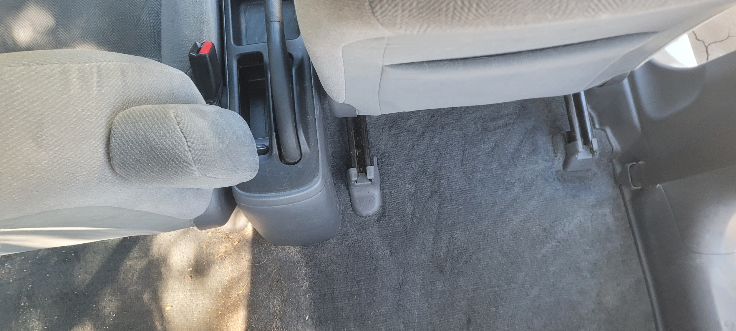 2002 Honda Civic — Interior + Exterior Detail — Carpet and dog hair — pre-clean condition