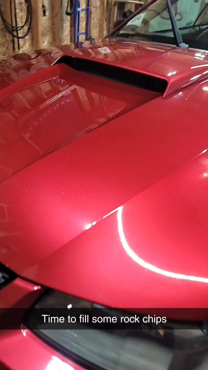 2004 Ford Mustang — Paint Correction + Rock-Chip Repair — Paint condition before rock-chip repair