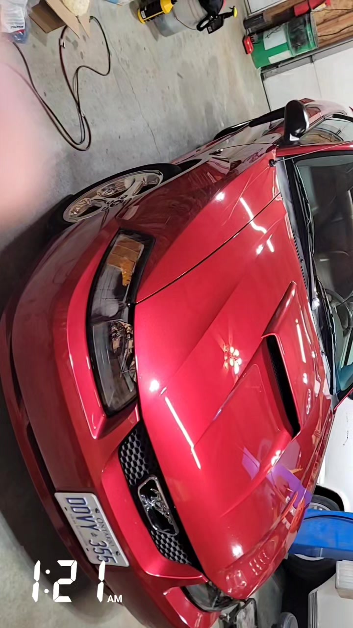 2004 Ford Mustang — Paint Correction + Rock-Chip Repair — Finished Mustang paint-correction result