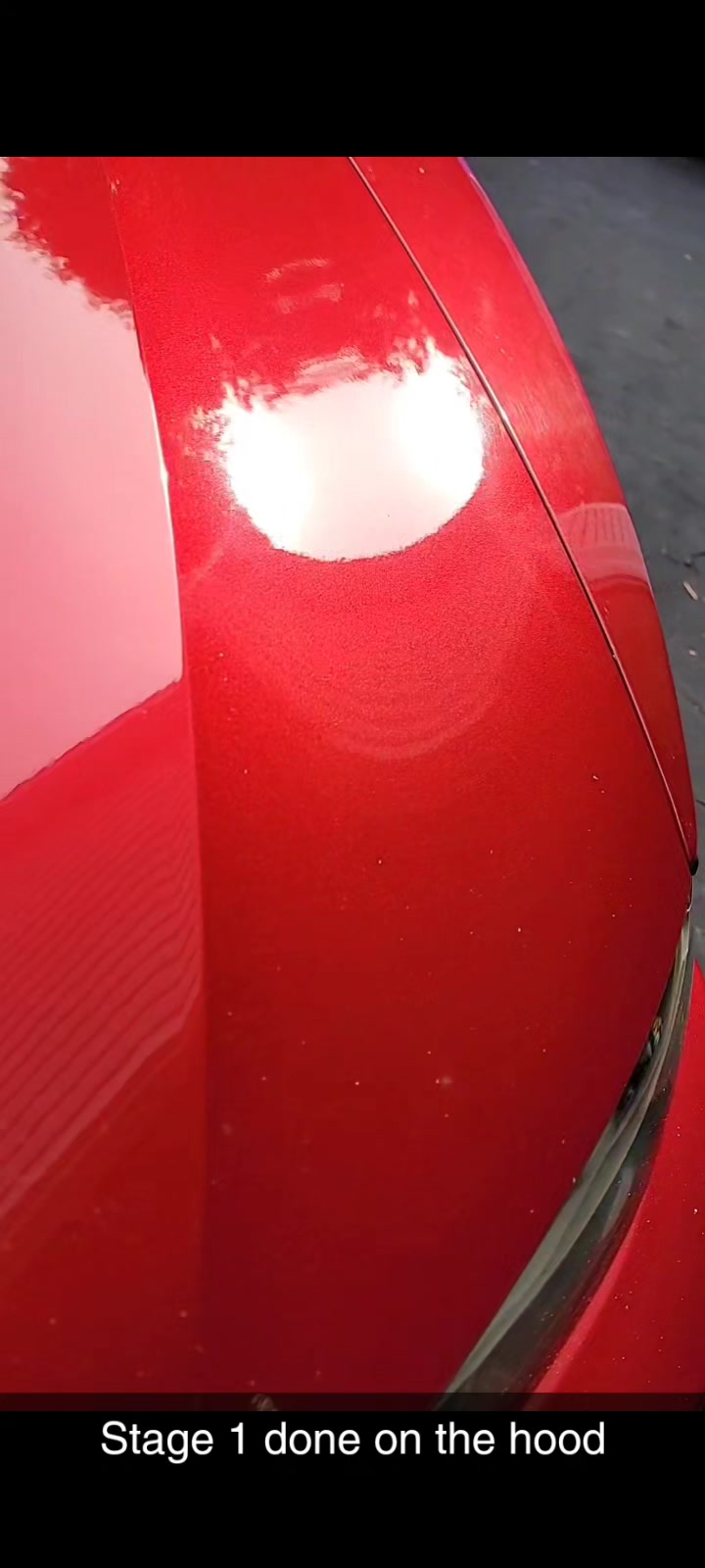 2004 Ford Mustang — Paint Correction + Rock-Chip Repair — One-stage correction extended to the fender