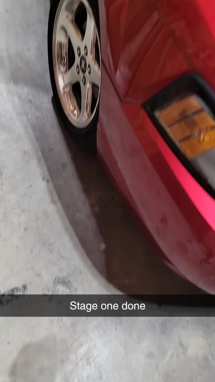 2004 Ford Mustang — Paint Correction + Rock-Chip Repair — One-stage paint correction in progress