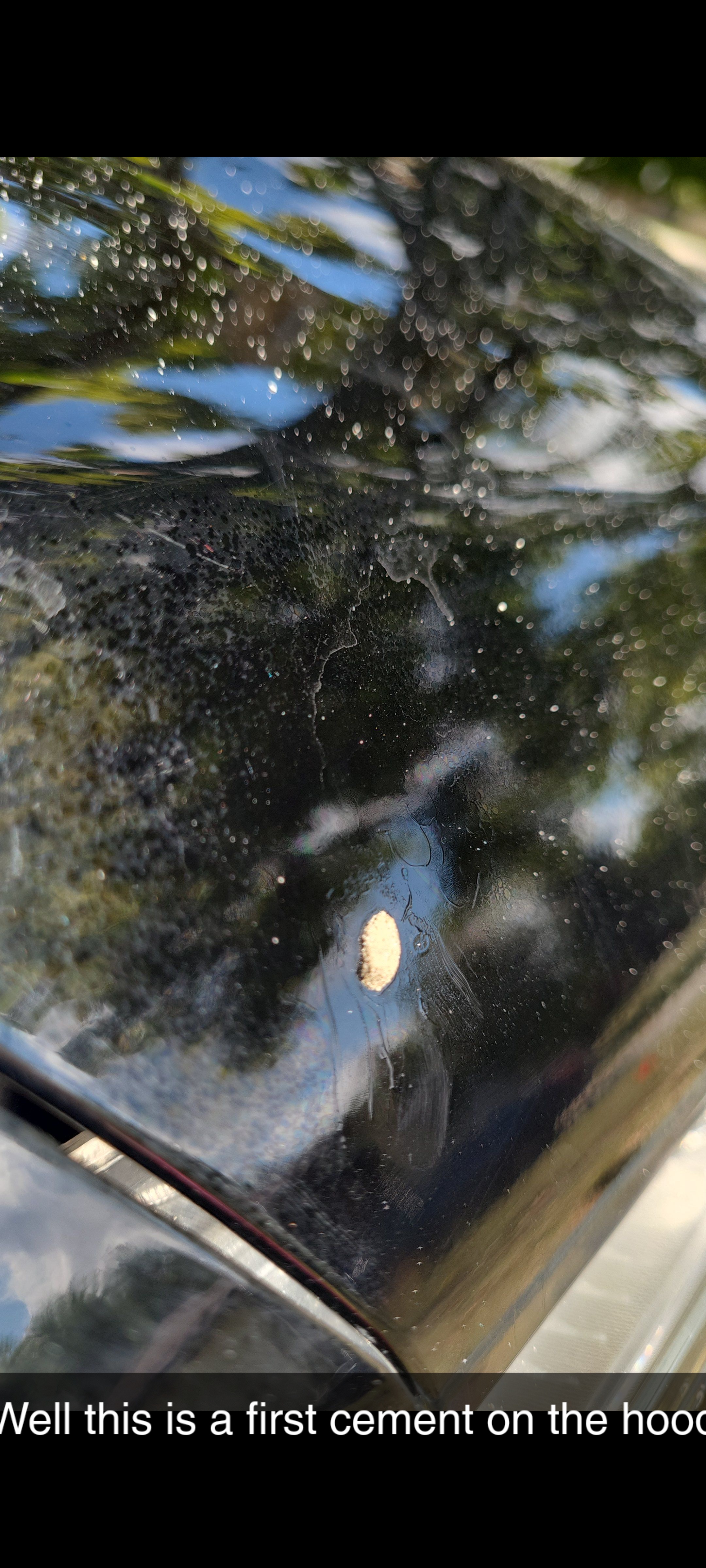 2022 GMC Sierra — Concrete Removal + One-Stage Paint Correction — Concrete contamination on the hood
